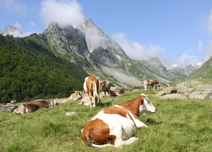 La Condorinette Frühstückspension